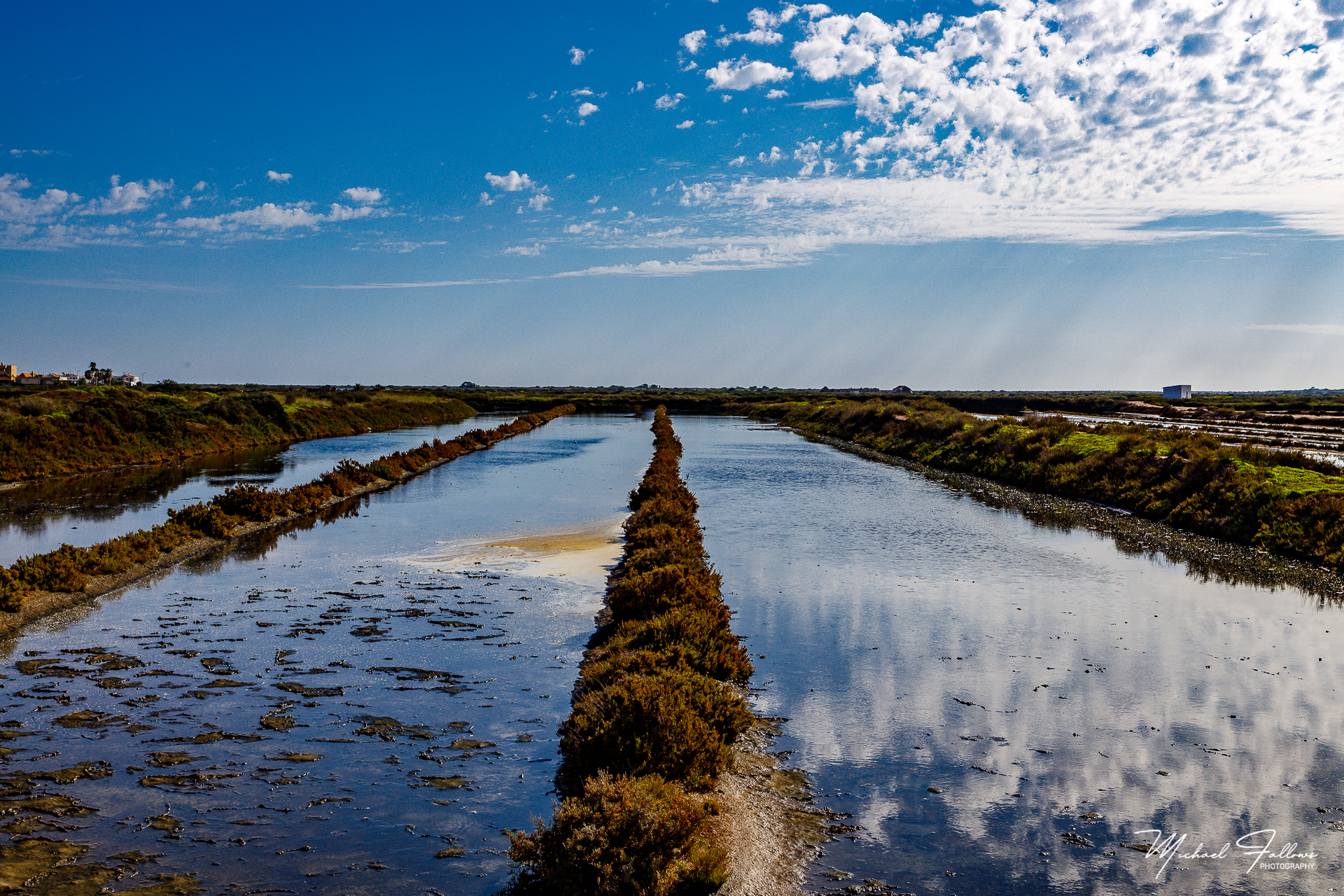 Photo of Walking And Nature - L71A2130