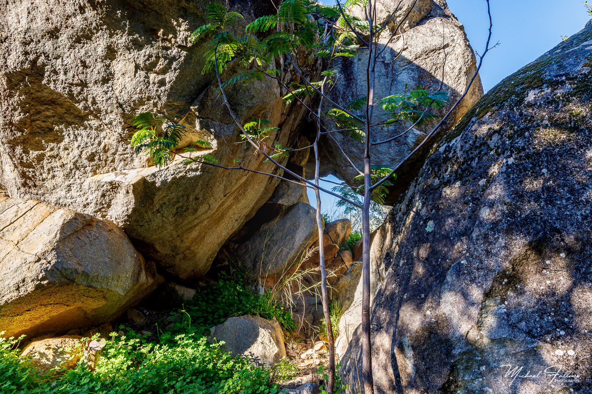Photo of Walking And Nature - L71A6291