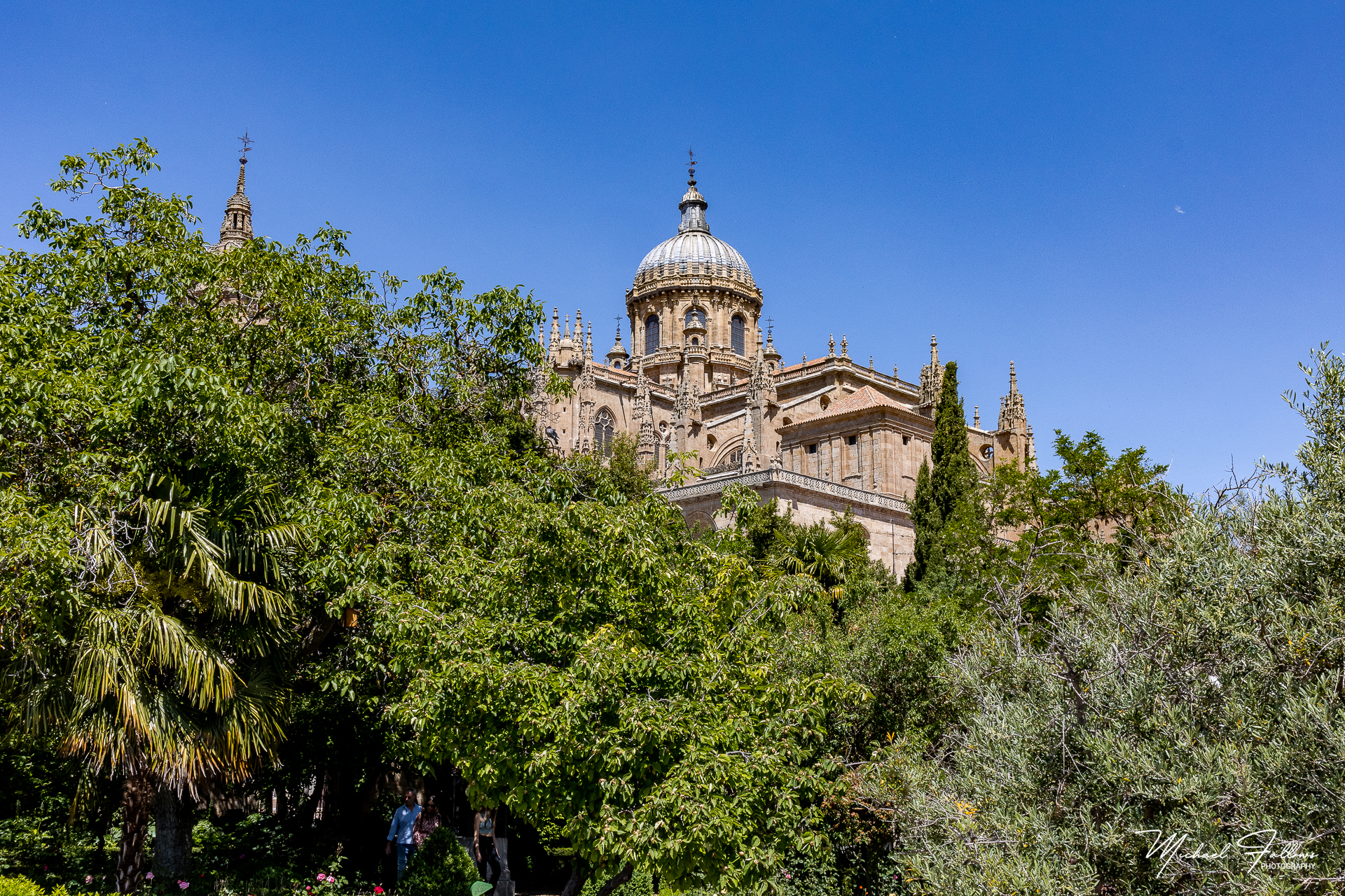 Photo of Salamanca - IMG_3427